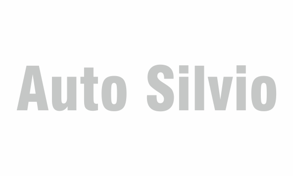 Flat Servis - Logo - Auto Silvio